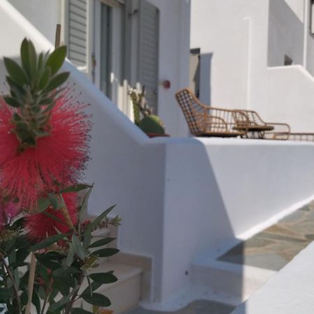 Gaia Serifos Apartments Rámos Rum bild