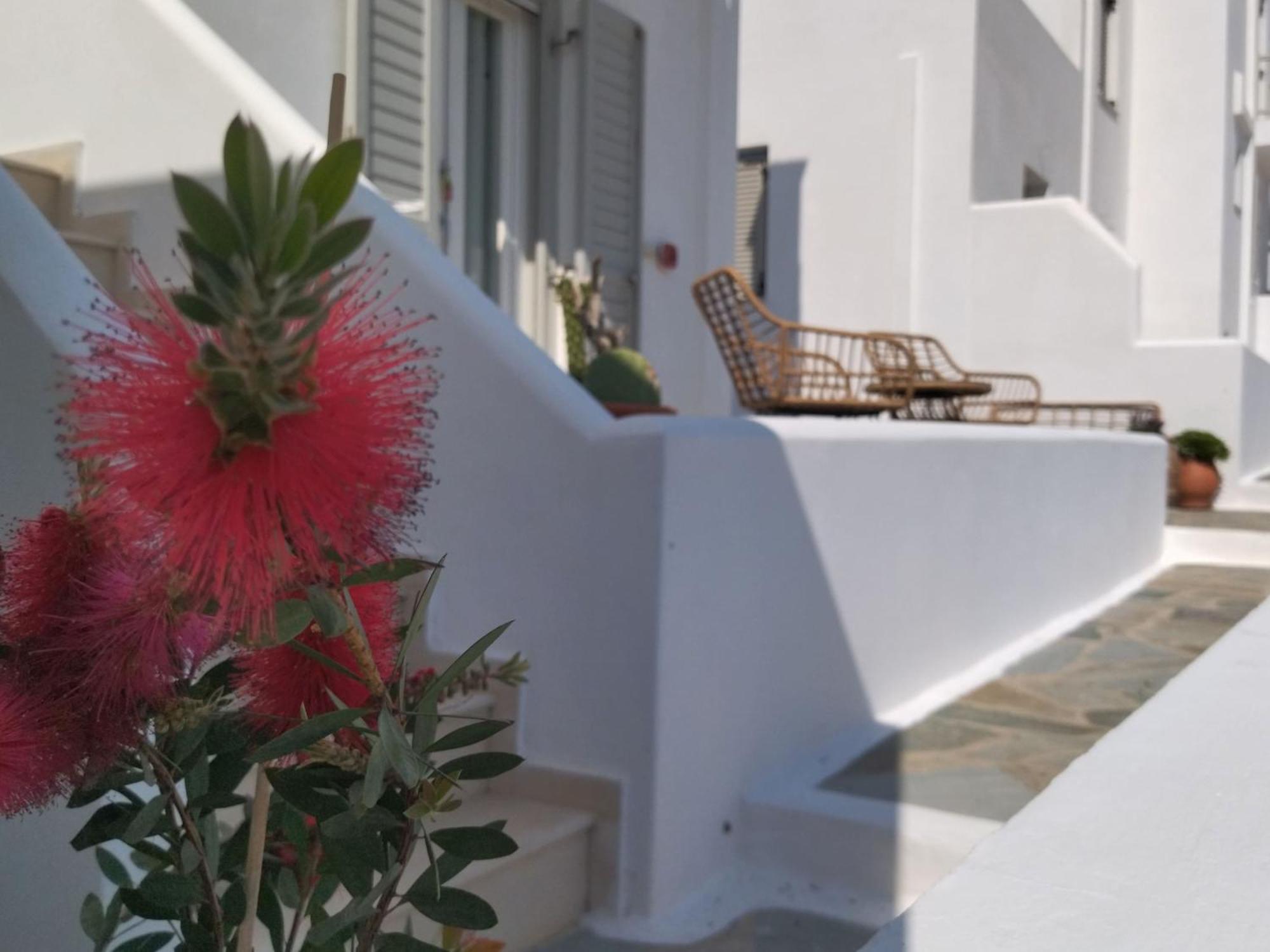Gaia Serifos Apartments Rámos Rum bild
